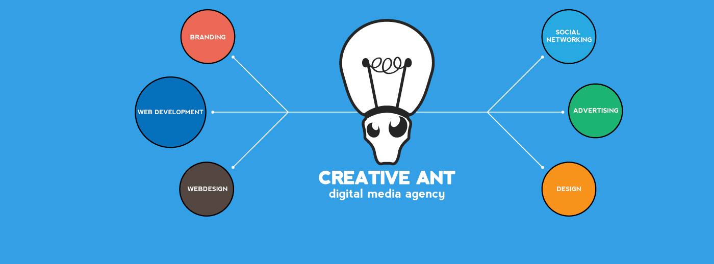 Creative Ant | Oradea