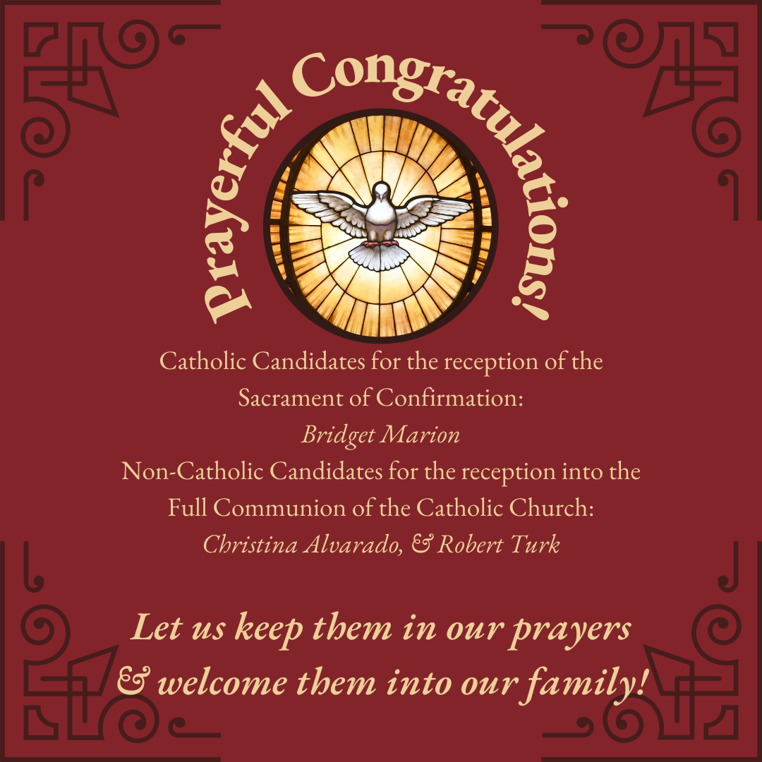 CONGRATULATIONS! Catholic... - Divine Mercy Parish | Facebook