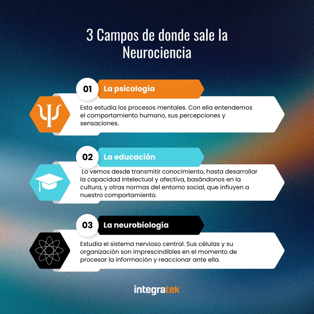 Integratek - 🧠🔬💡 Descubre los tres campos en los que se... | Facebook