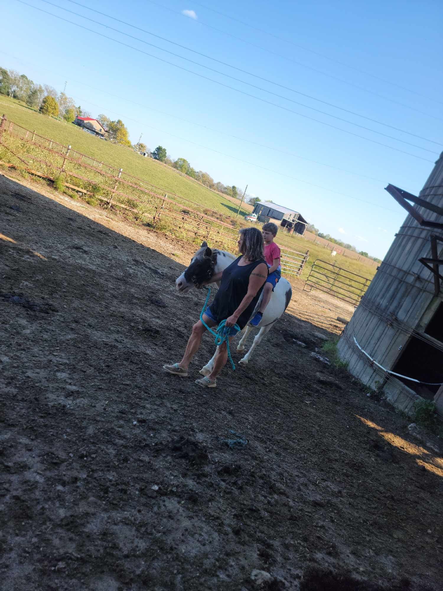 Bess Farm & Ranch