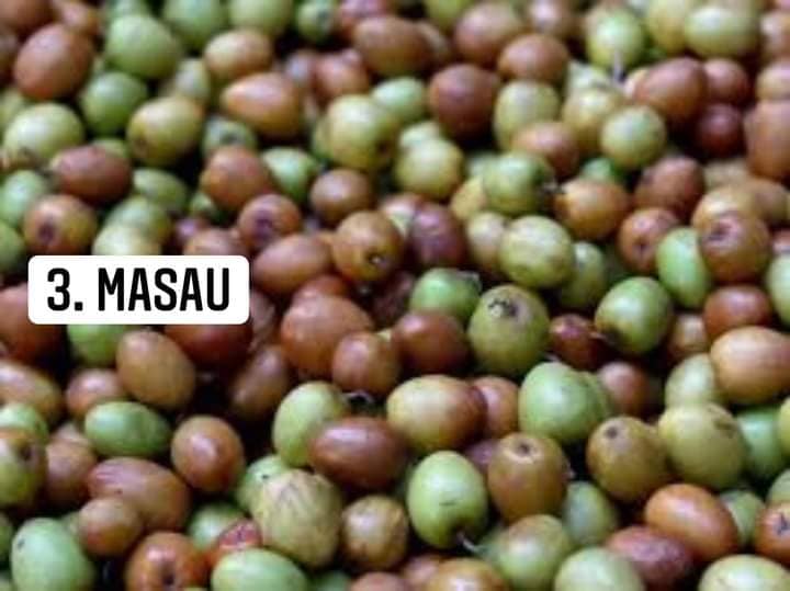 Emblem - ENGLISH NAMES OF SOME LOCAL ZAMBIAN FOOD AND...