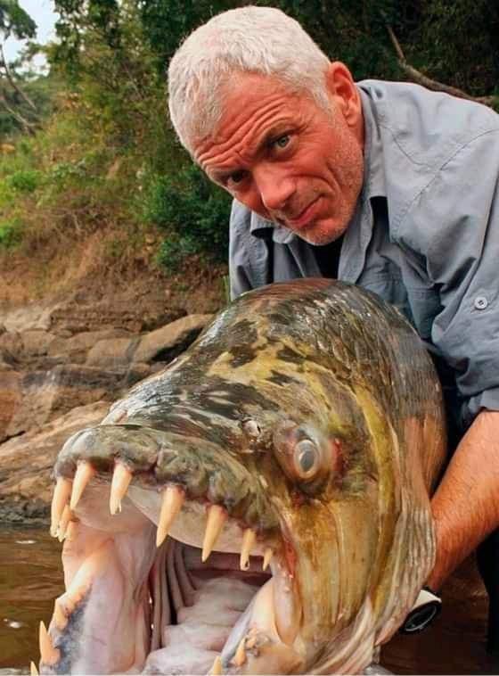 Andinet Birhanu - The most terrifying fish 🐟 😳 Jeremy...