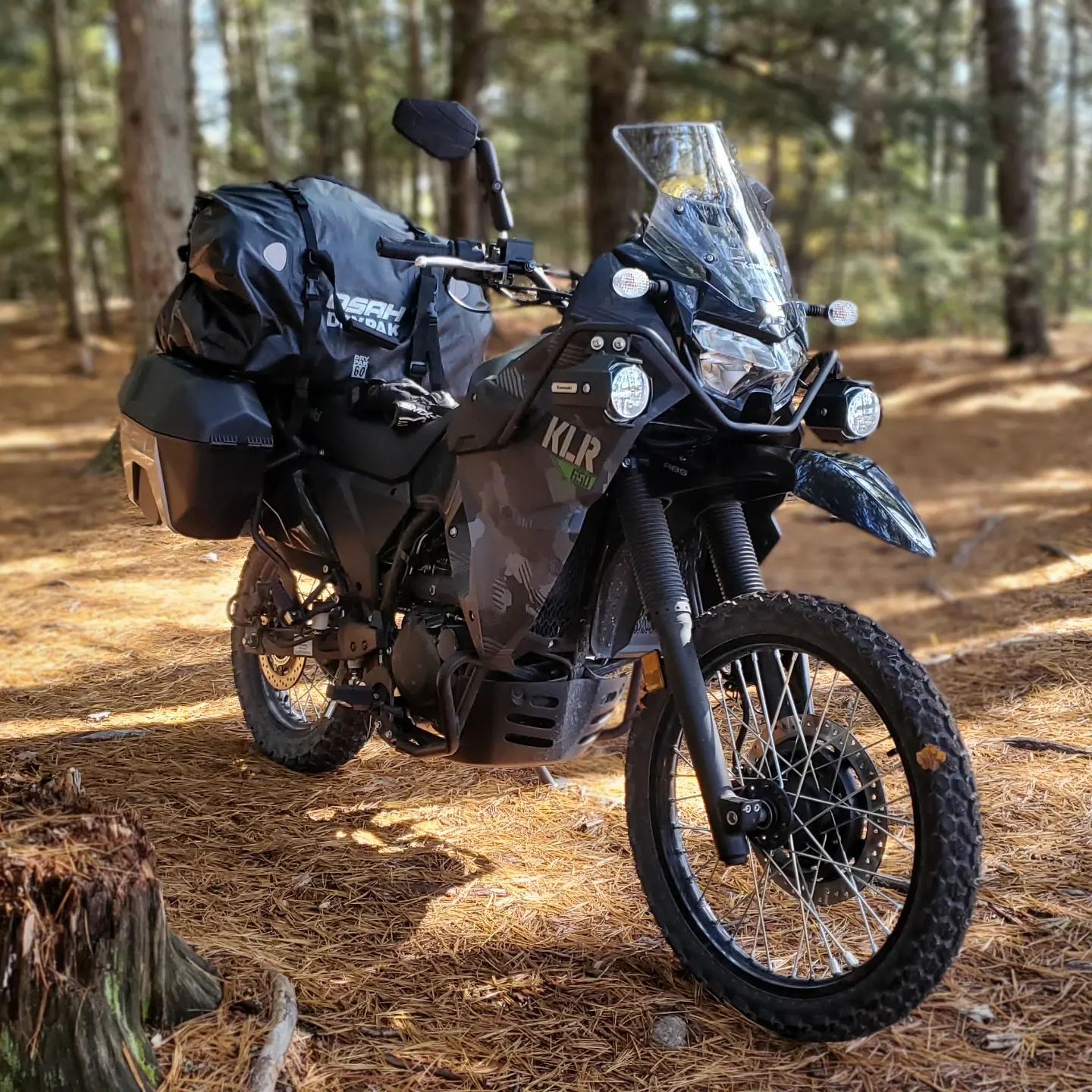 Dual Rider
