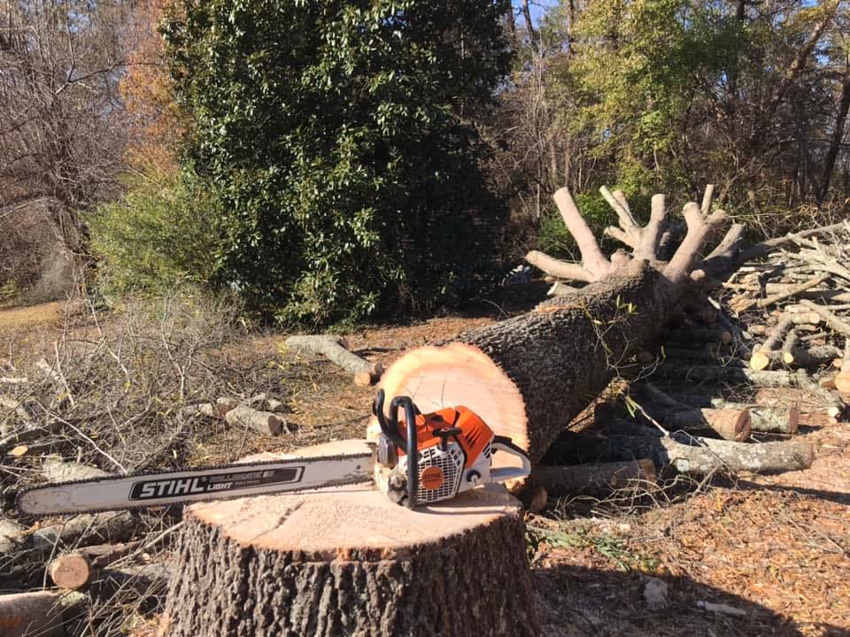 Highline Tree Service LLC
