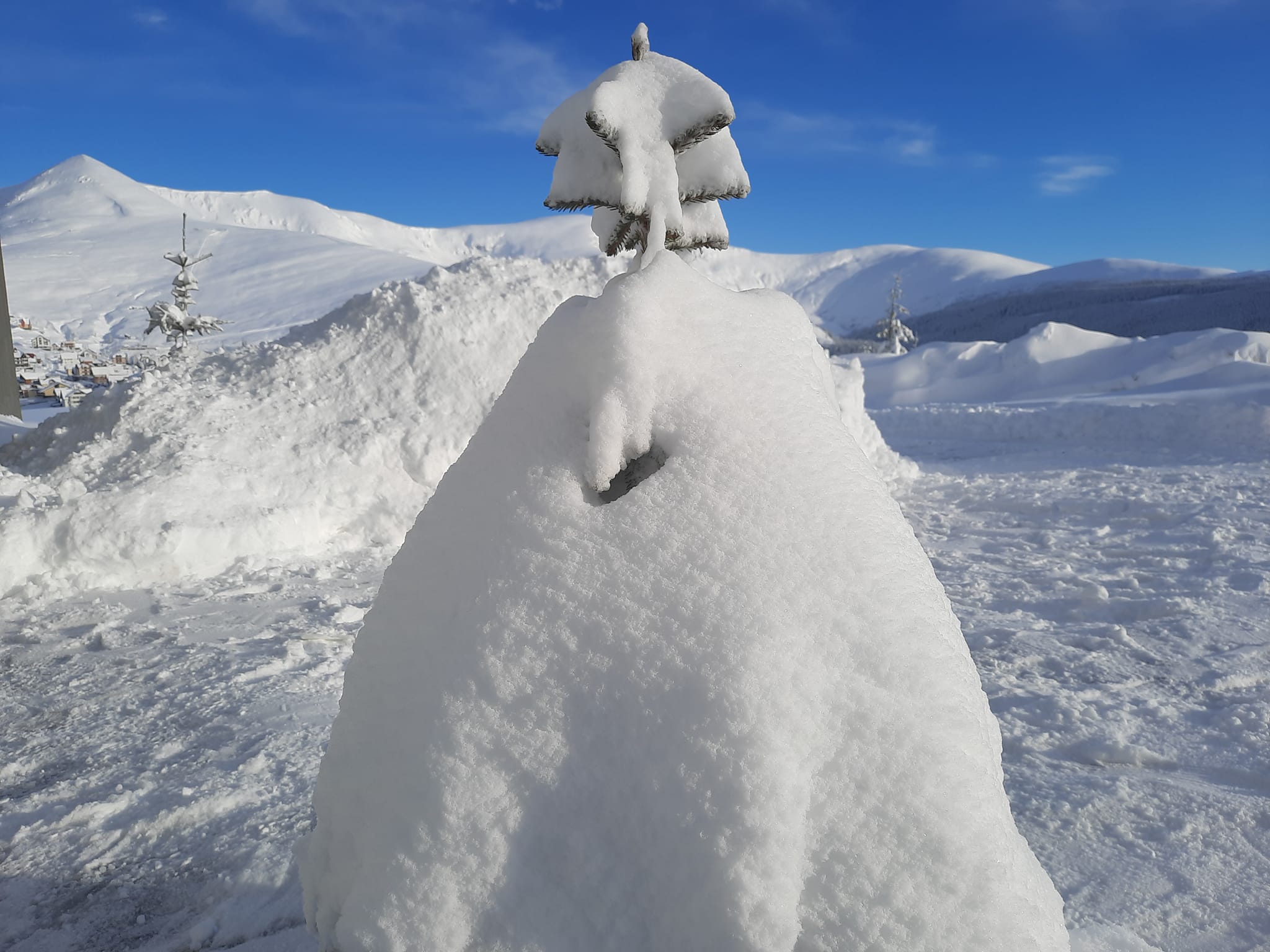 Casuta mea din varf de munte, Ranca/Transalpina | Baia de Fier