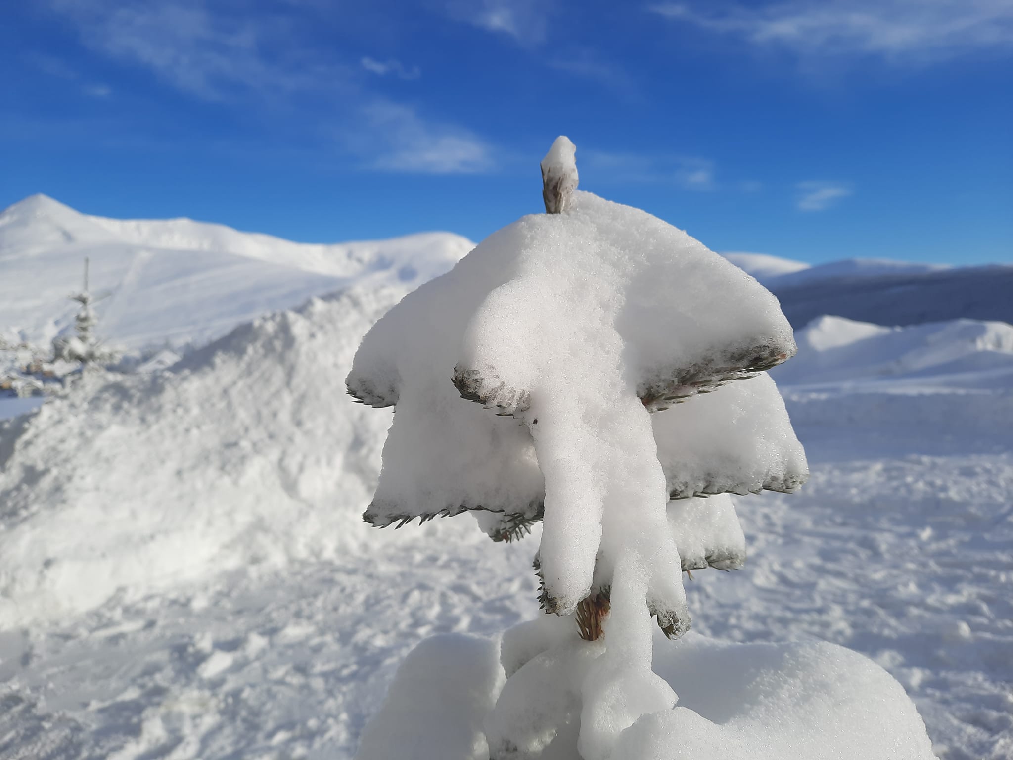 Casuta mea din varf de munte, Ranca/Transalpina | Baia de Fier