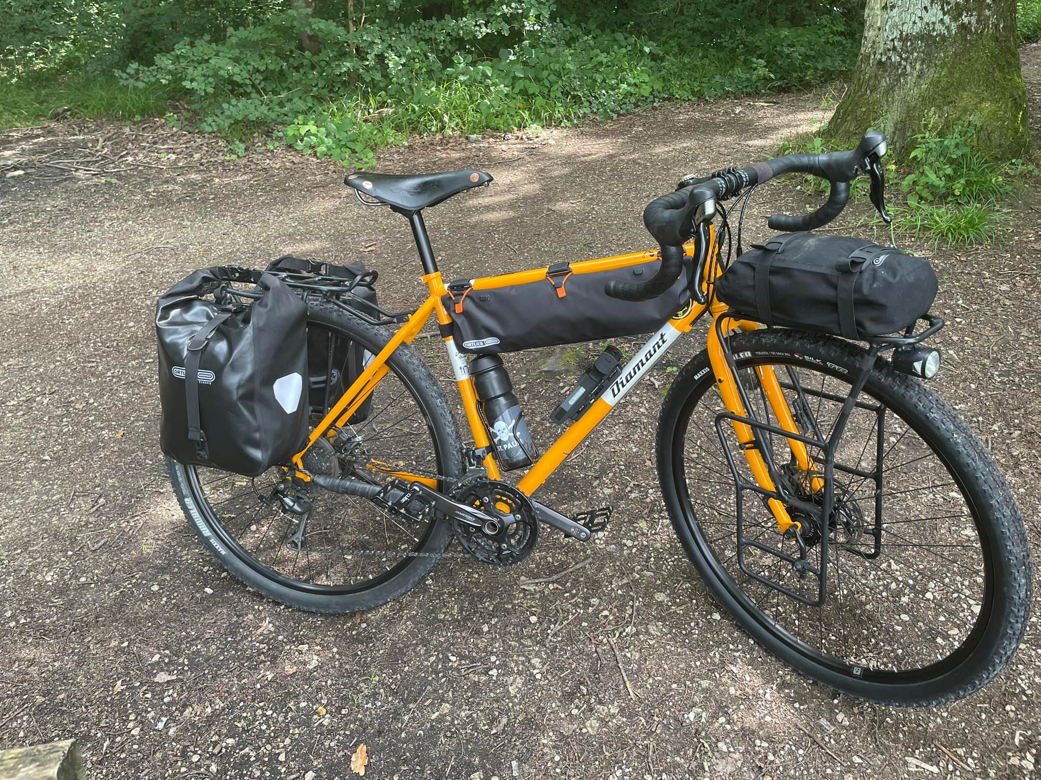 hochwertiges damenfahrrad KTM Cento 11 Plus Di2 Damen E-Bike 2026 Größe:Mittel Kalkhoff ENDEAVOUR 5.B EXCITE bushcooks kitchen: Gebratener Lachs