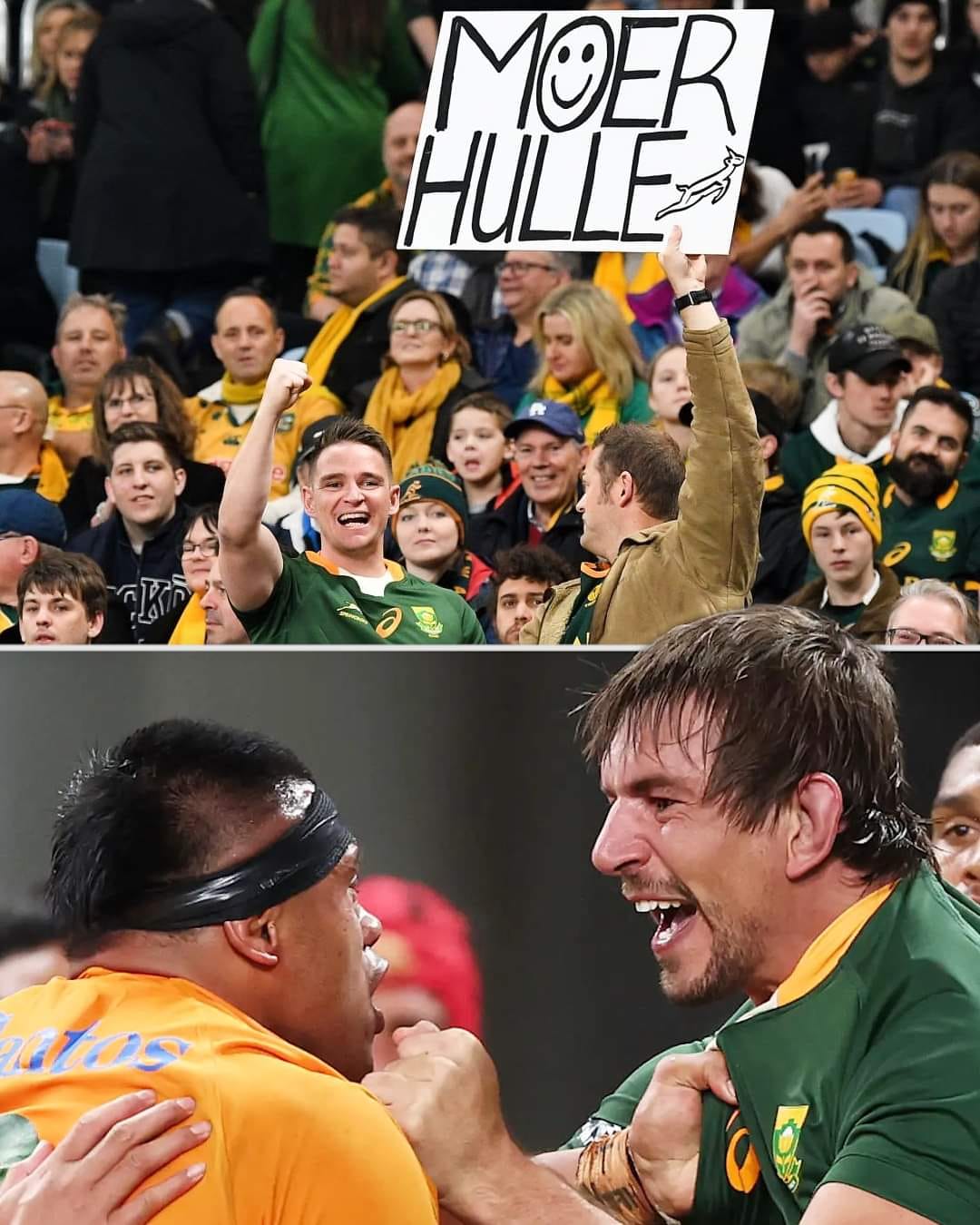 💥 ️ ↔️ 😊🧸 Springbok fan... - Springboks Fans in Sri Lanka | Facebook