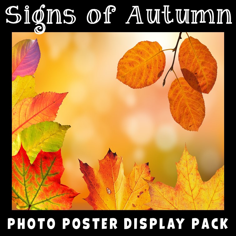 Signs of Fall Posters! 🍂 Grab this... - Teacher's Toolkit