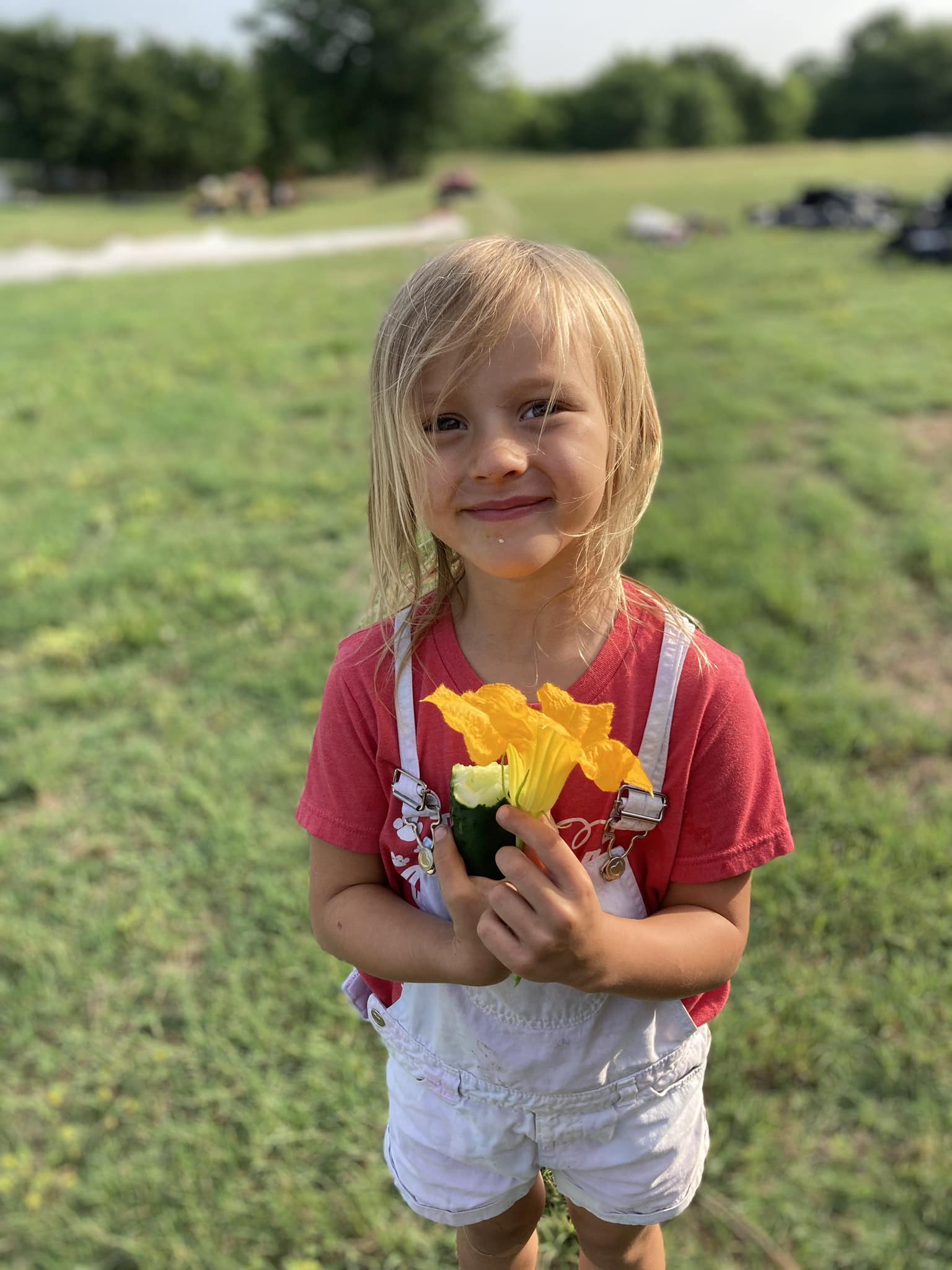Phoenix Farms LLC