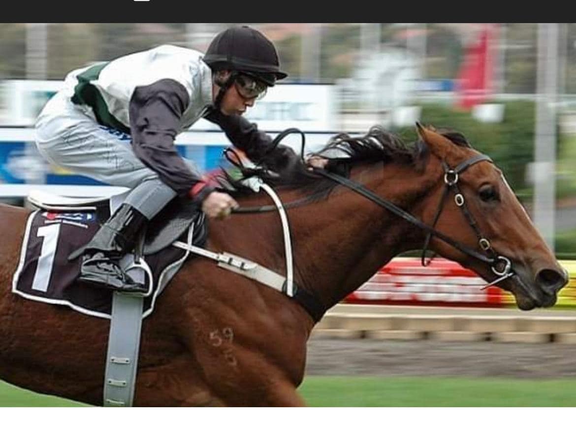 The Hayes family and everyone at... - Lindsay Park Racing | Facebook