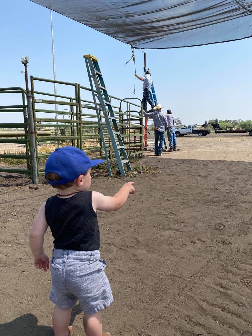 Contestants! Get your entries out,... - Creston Classic Rodeo | Facebook