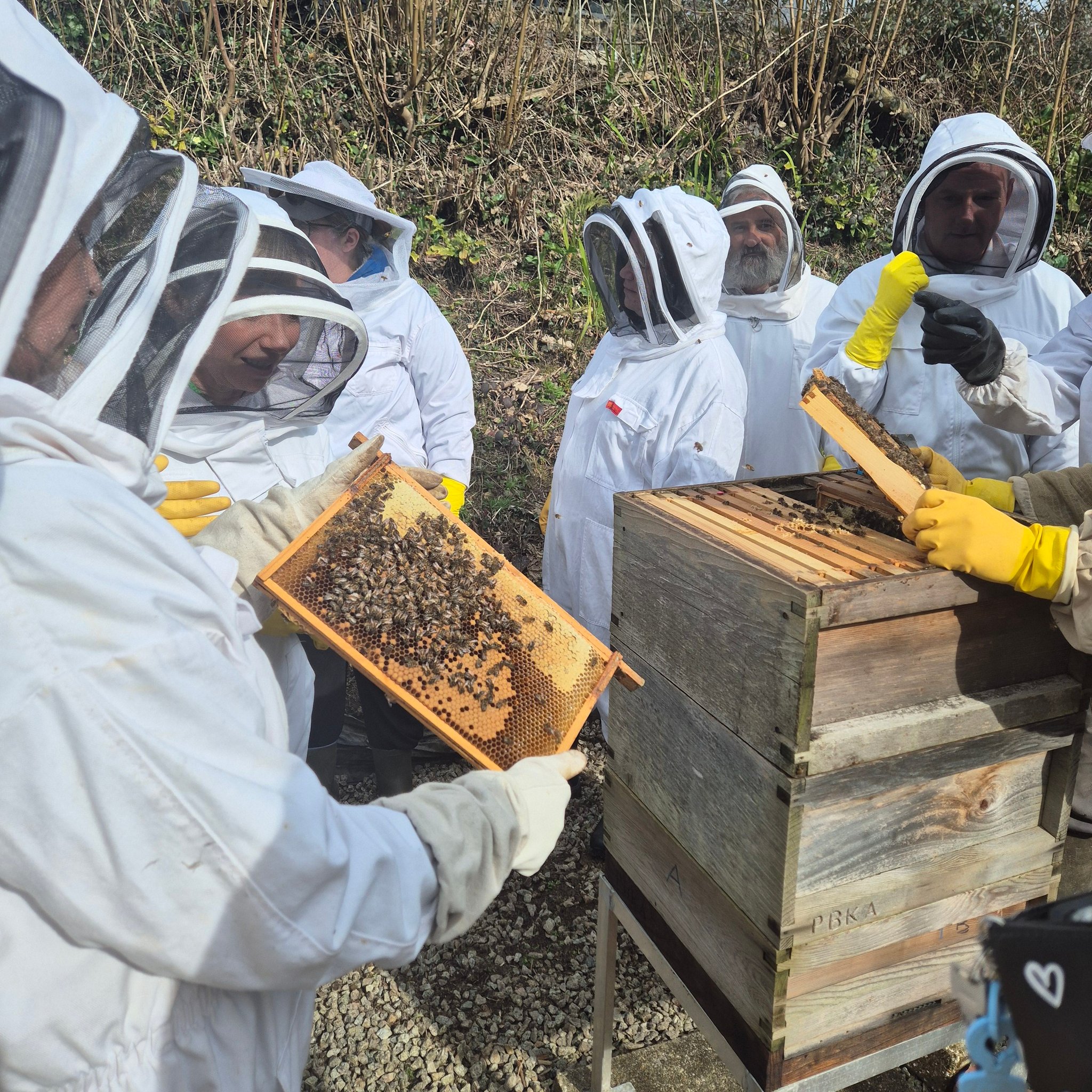 Plymouth Branch - Devon Beekeepers’ Association