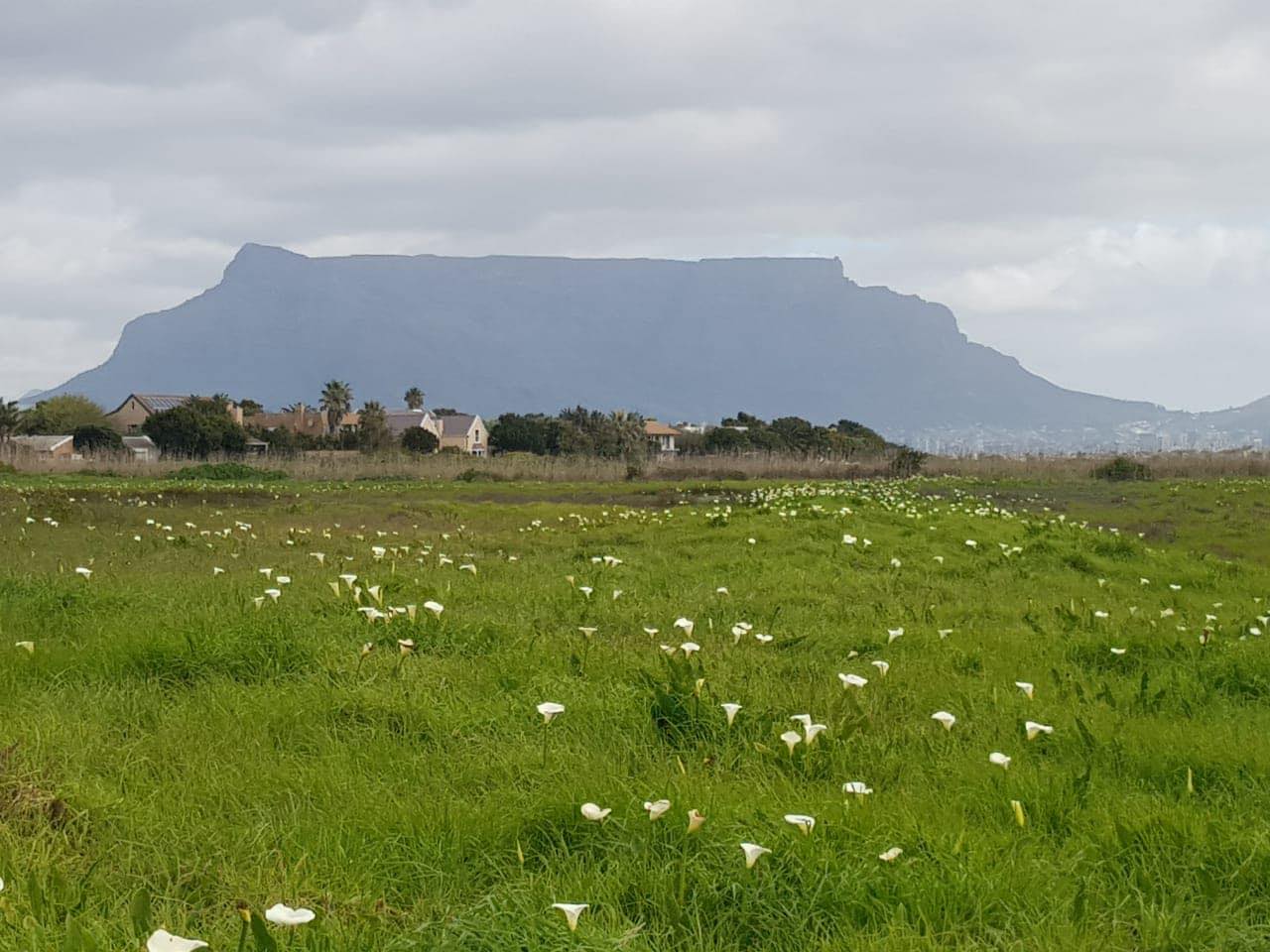 Milnerton Ridge: NW Members & Residents | Milnerton Ridge