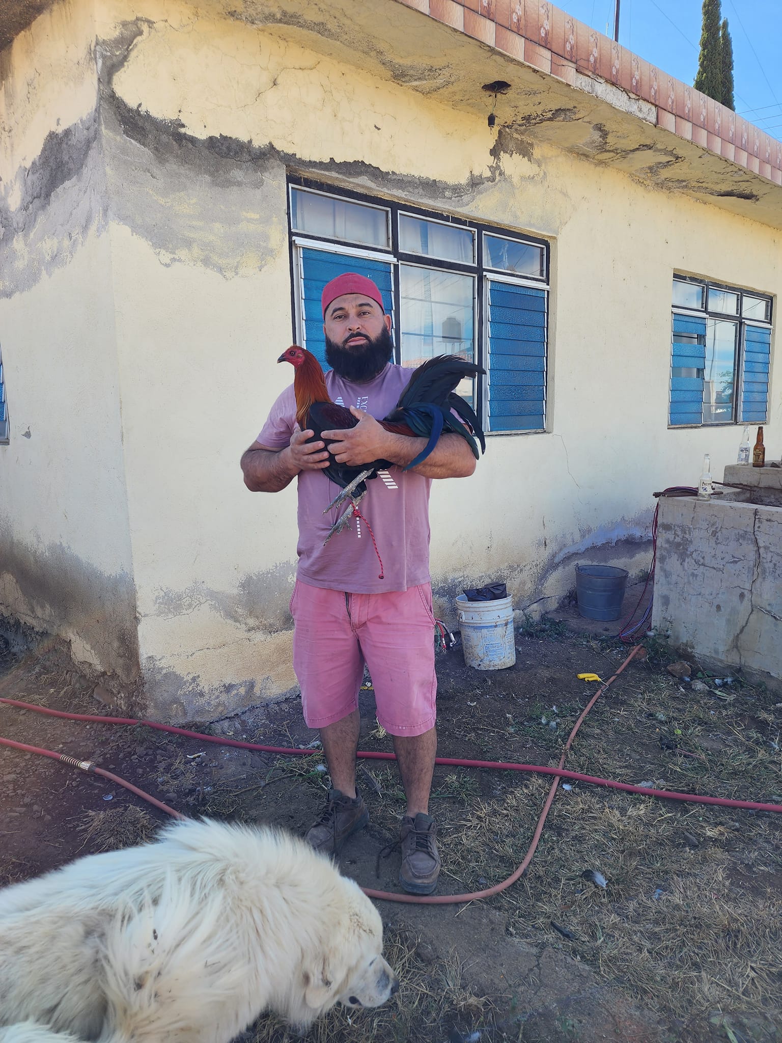 Compa Barbas Gamez