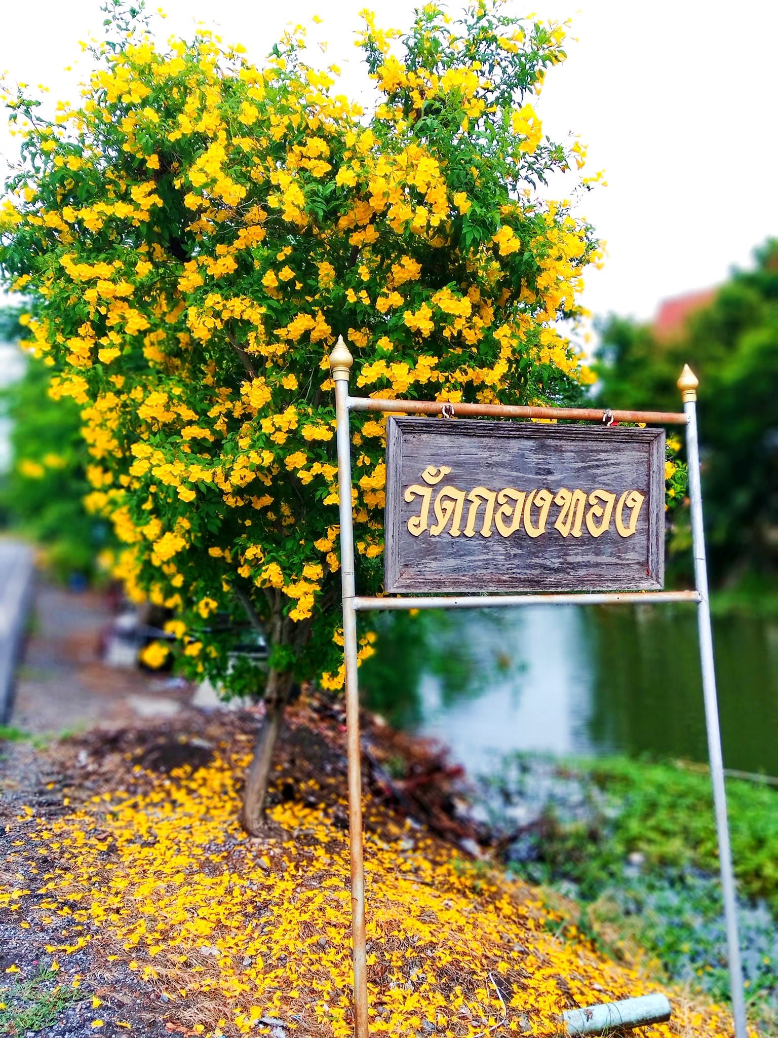 💥บูชปีกนกบน-ล่าง... - ร้านยาง Auto Tyre Express | Facebook