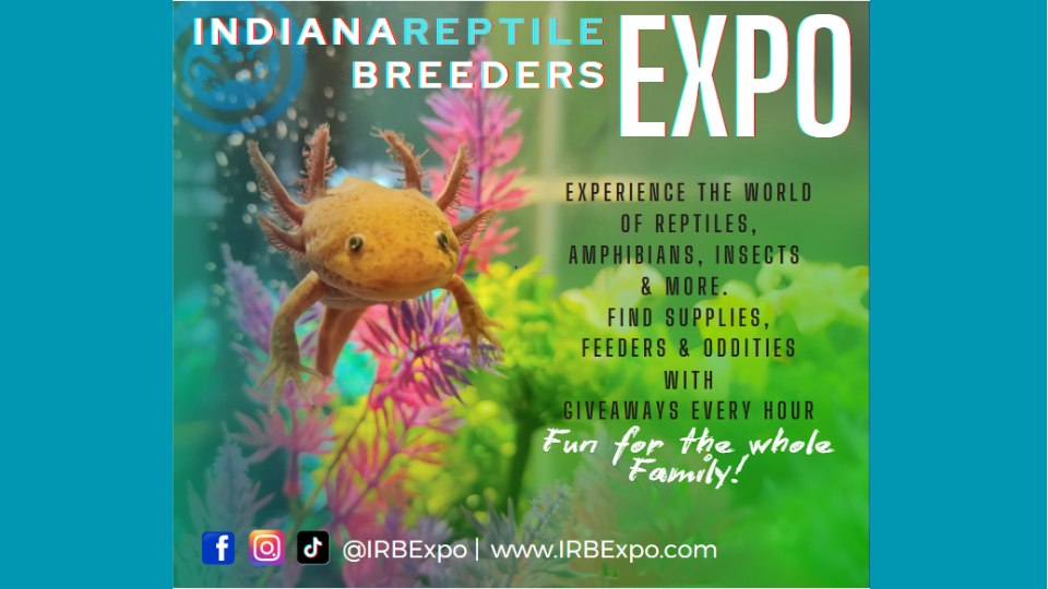 Photo inspiration: Picture Idea: Indiana Reptile Breeders Expo Clarksville