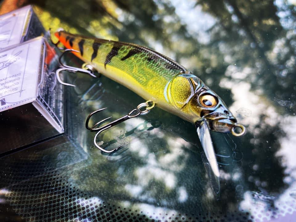 st croix legend casting rod Tournament Bass – St. illustration Length:7' 3