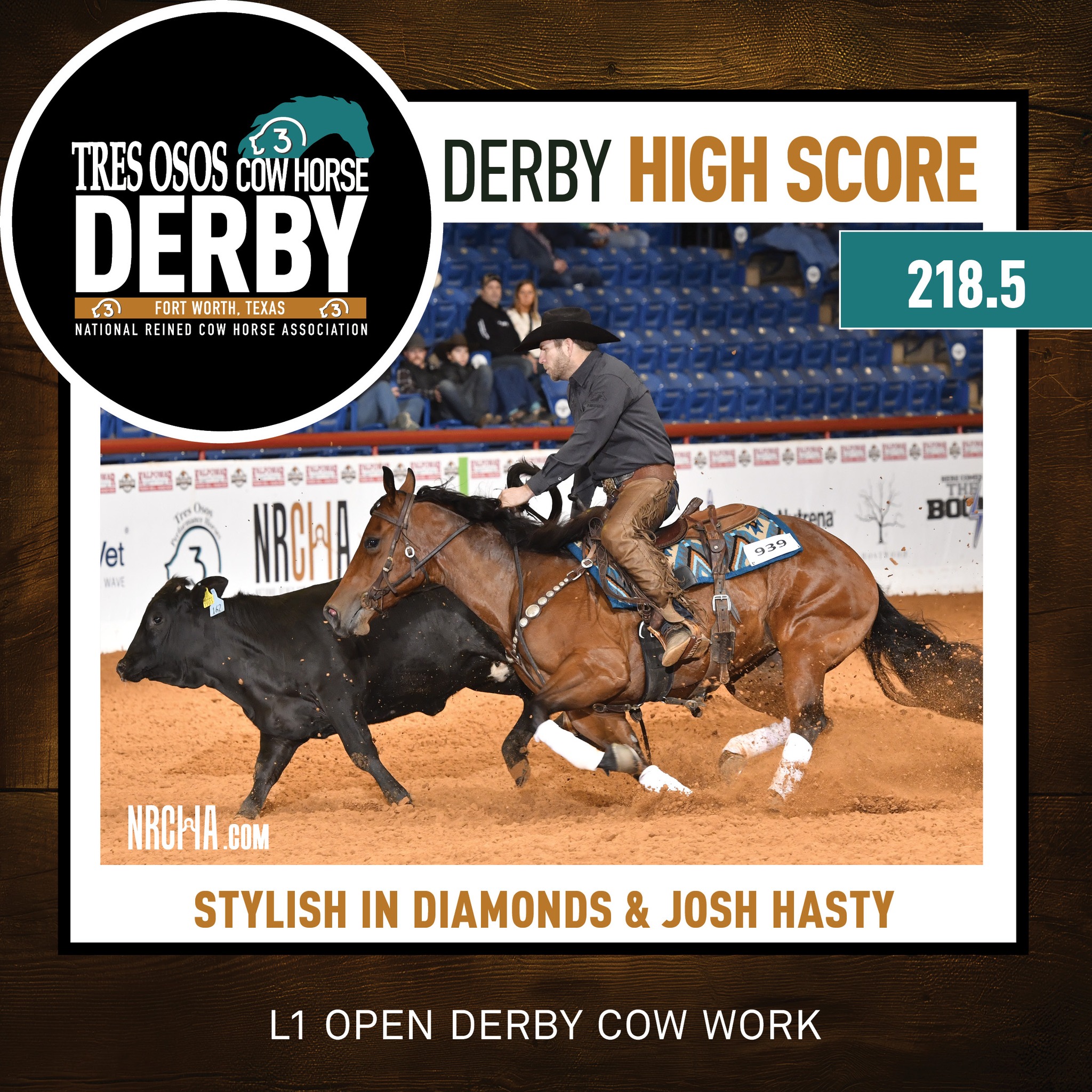 Ruckus Performance Equine | Springfield TN