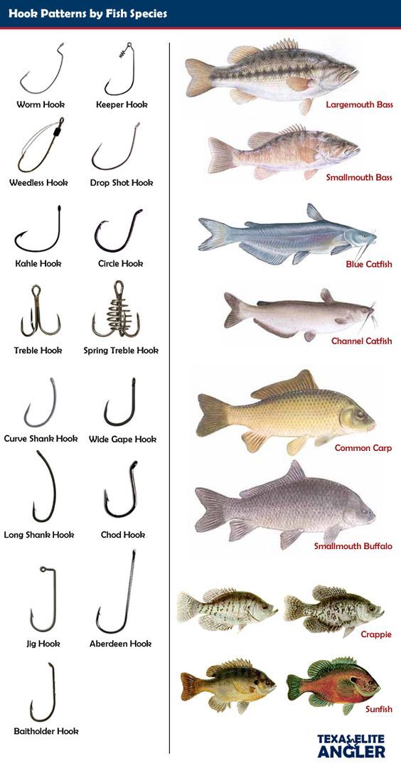 13 fishing creed gt spinning reel 2000 CRGT2000 Select LB Test::25 lb. Solar Collector Green- 595 yds Brocraft Alumacraft Boats AlumaTrac Boat Fly Box