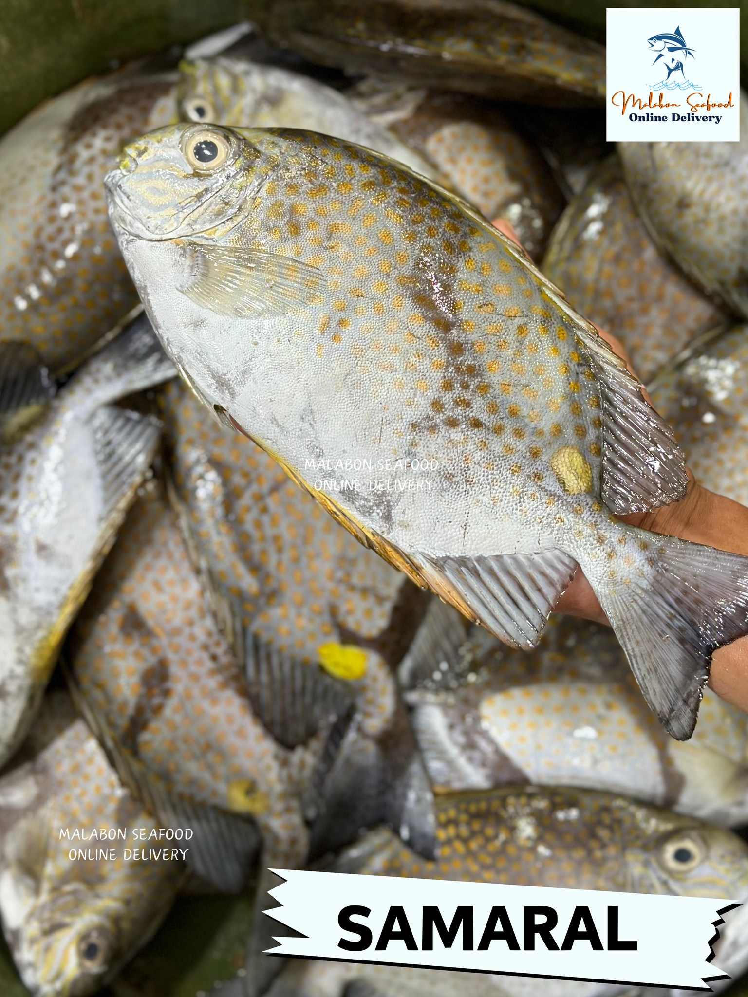 Malabon - Seafood cravings? Try 