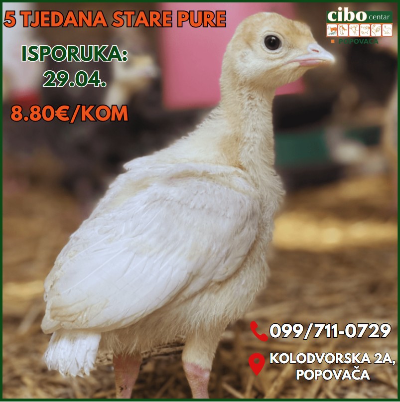 Cibo Centar Popovača | Popovaca