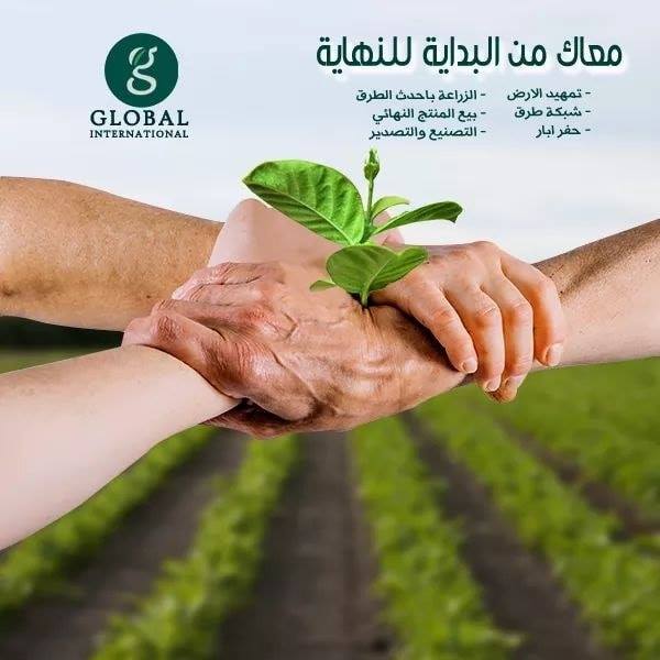 Global International | Cairo
