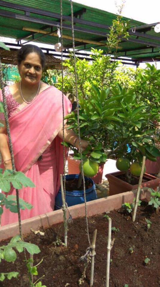 Meet Rekha Rathi Saboo from Indore,... - Humans Who Grow Food | Facebook