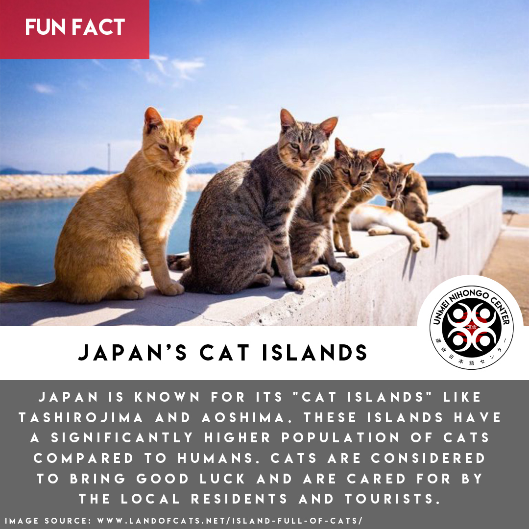 Unmei - 🐾 Japan's Cat Islands: Where Whiskers and Wonder Collide! 🐱🏝️ ...