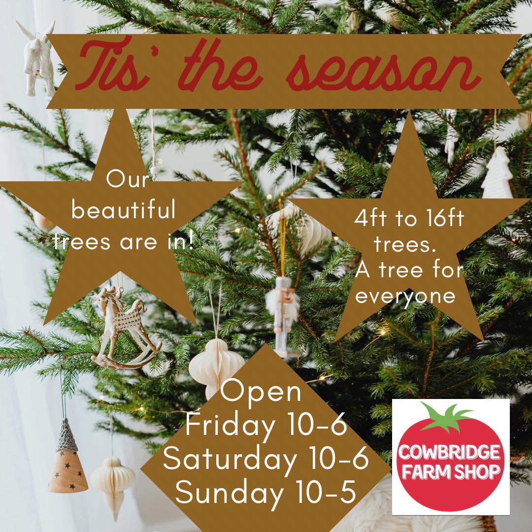 🎄Our Christmas trees are... - Cowbridge Farm / Car Boot Sale | Facebook