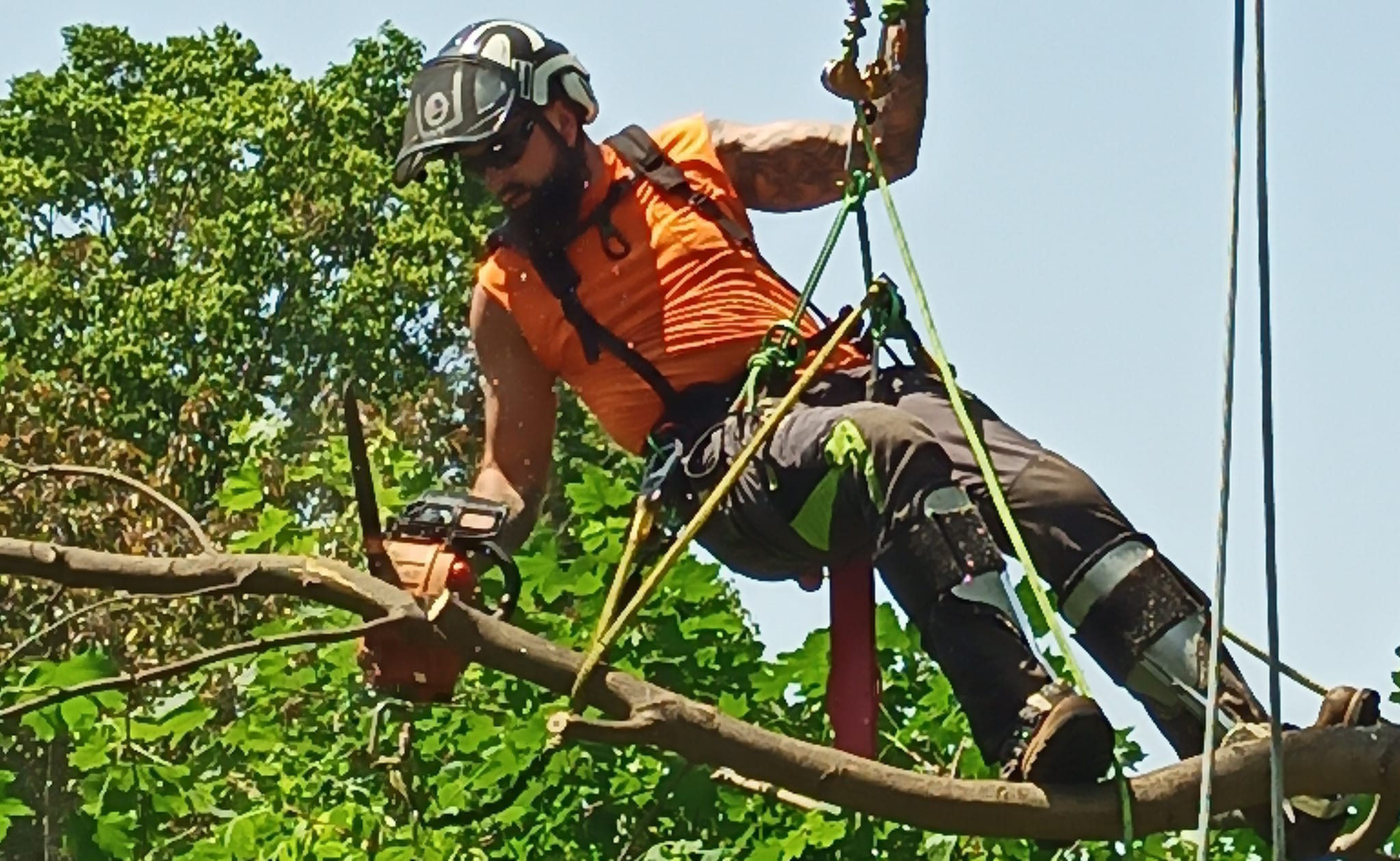 Patriot Tree Service LLC | Sebewaing MI