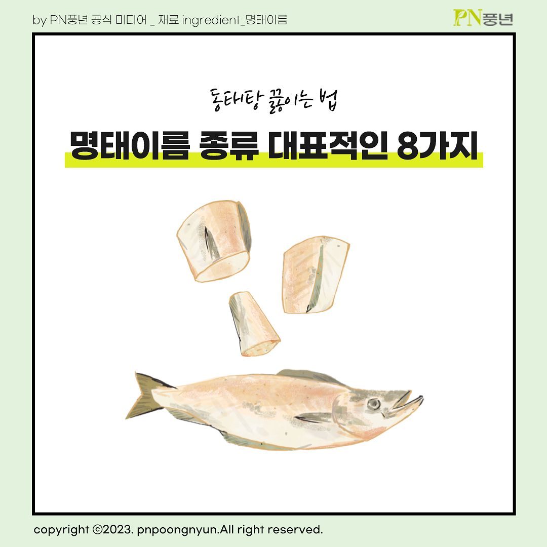 PN풍년 - 풍주부들 안녕하세요:D 옛날부터 수다나 거짓말을 속되게 이른 말로 ‘노가리를 까다’,...