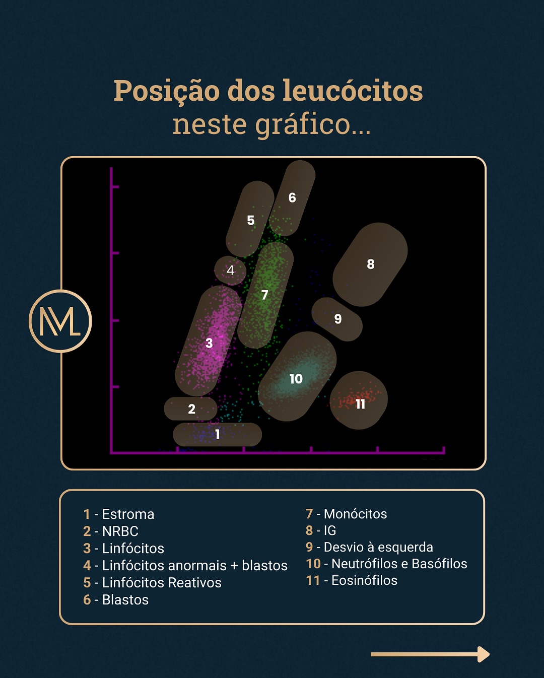Inml.brasil - Você sabe identificar a posição das células... | Facebook