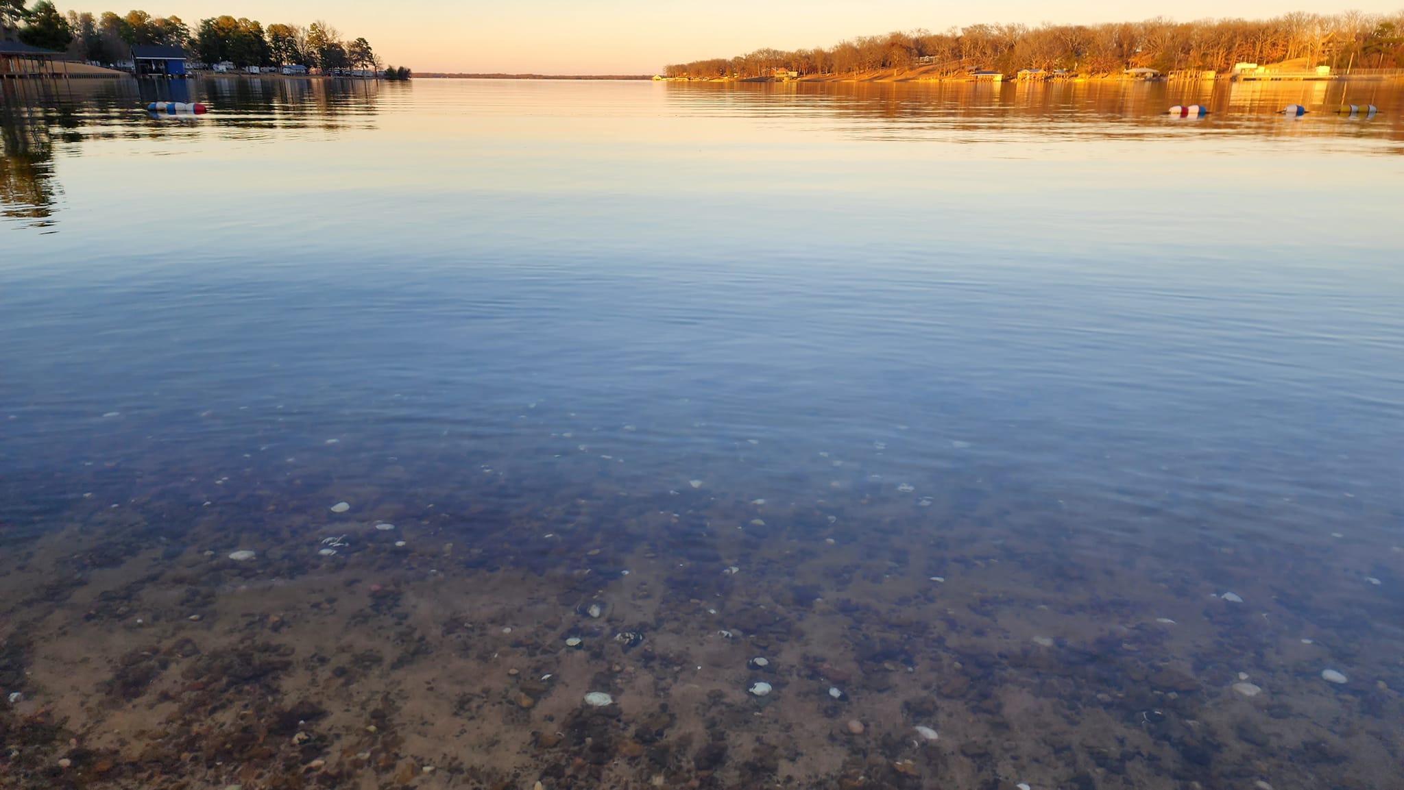 Big Al's Barefoot Bay - Look at the clarity of the water!! Lake Bob ...