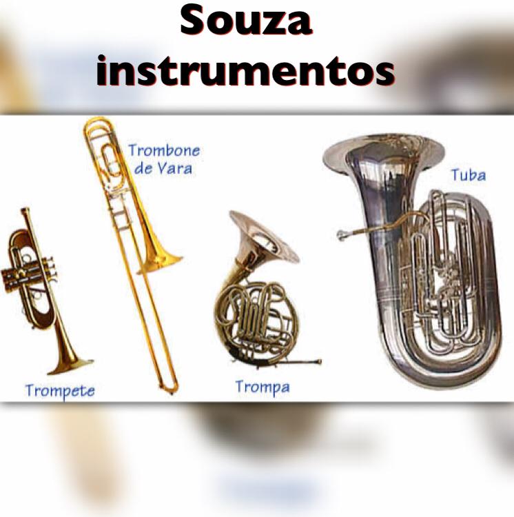 Souza Instrumentos