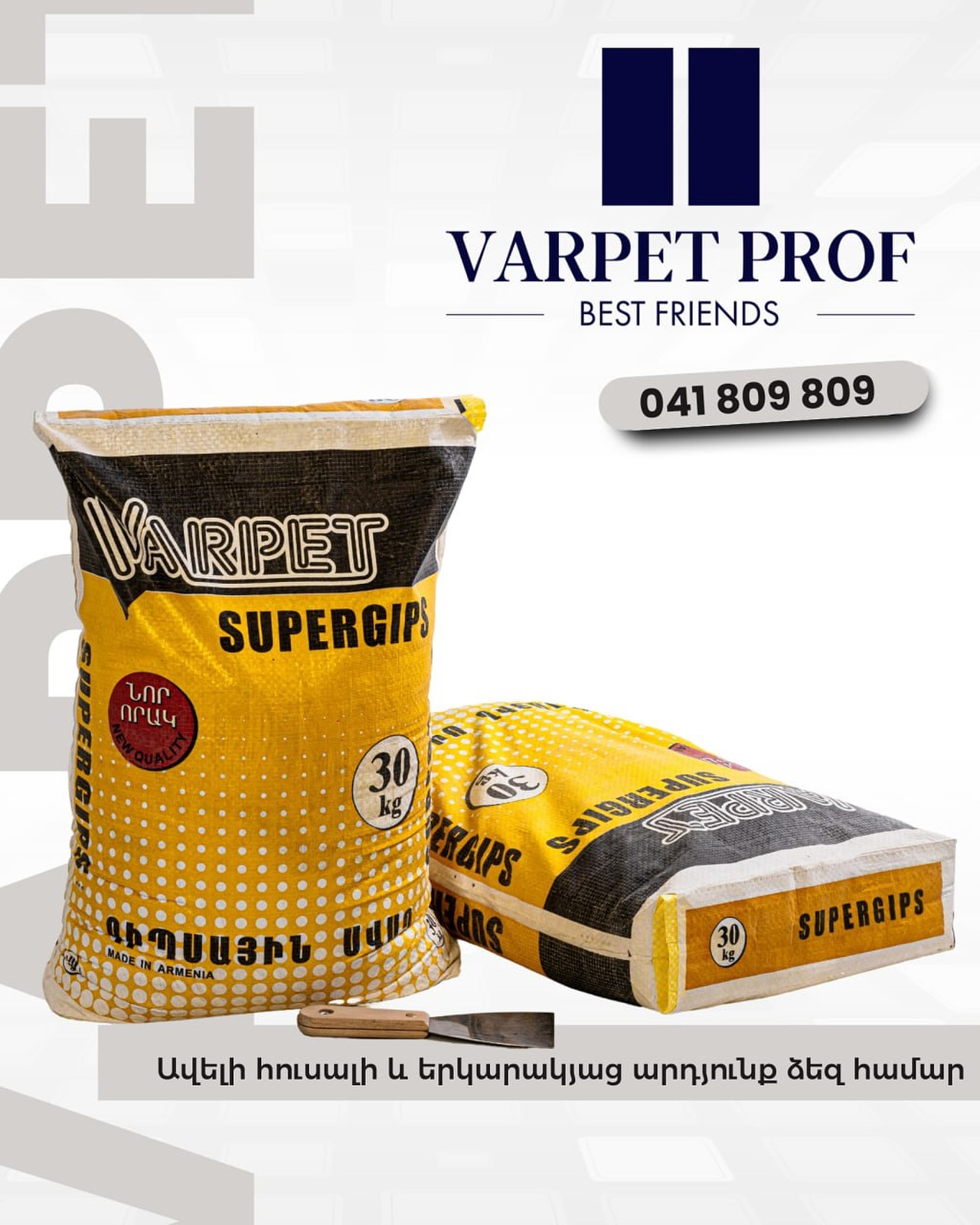 varpet-prof-best-friends-llc-yerevan