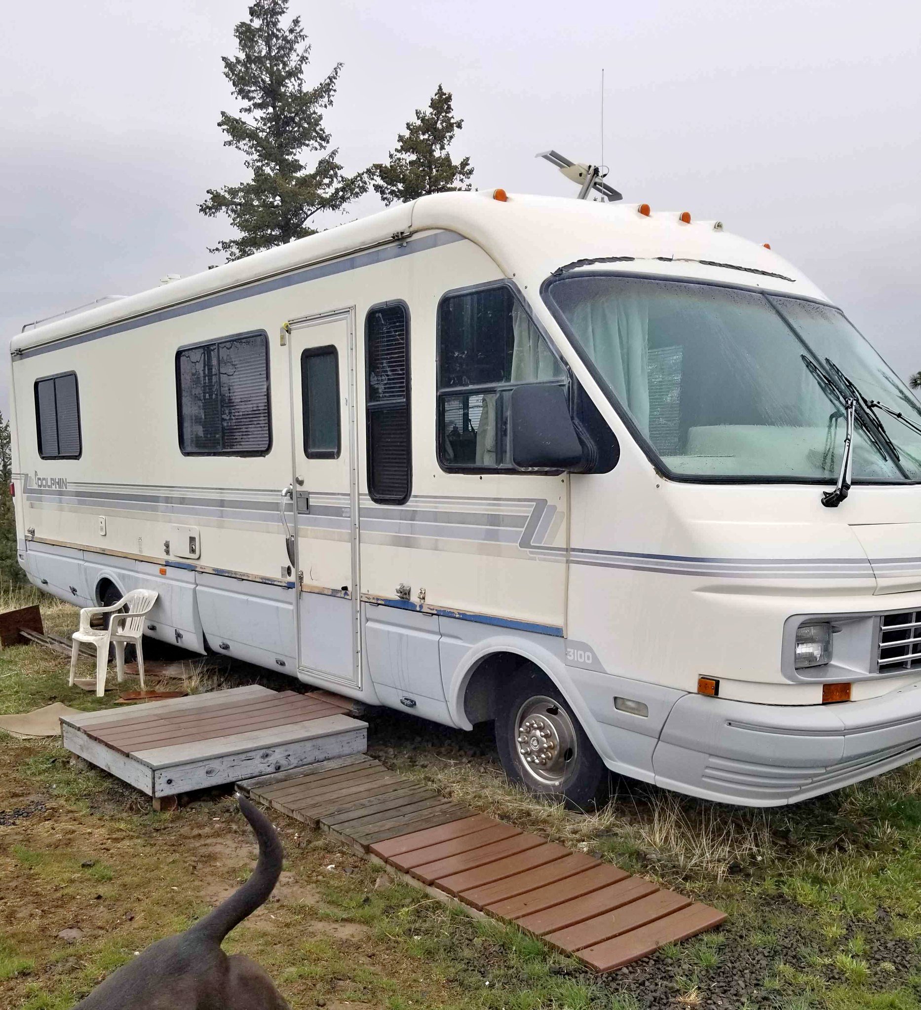1991 Dolphin 3100 - RVs & Campers - Reardan, Washington | Facebook ...
