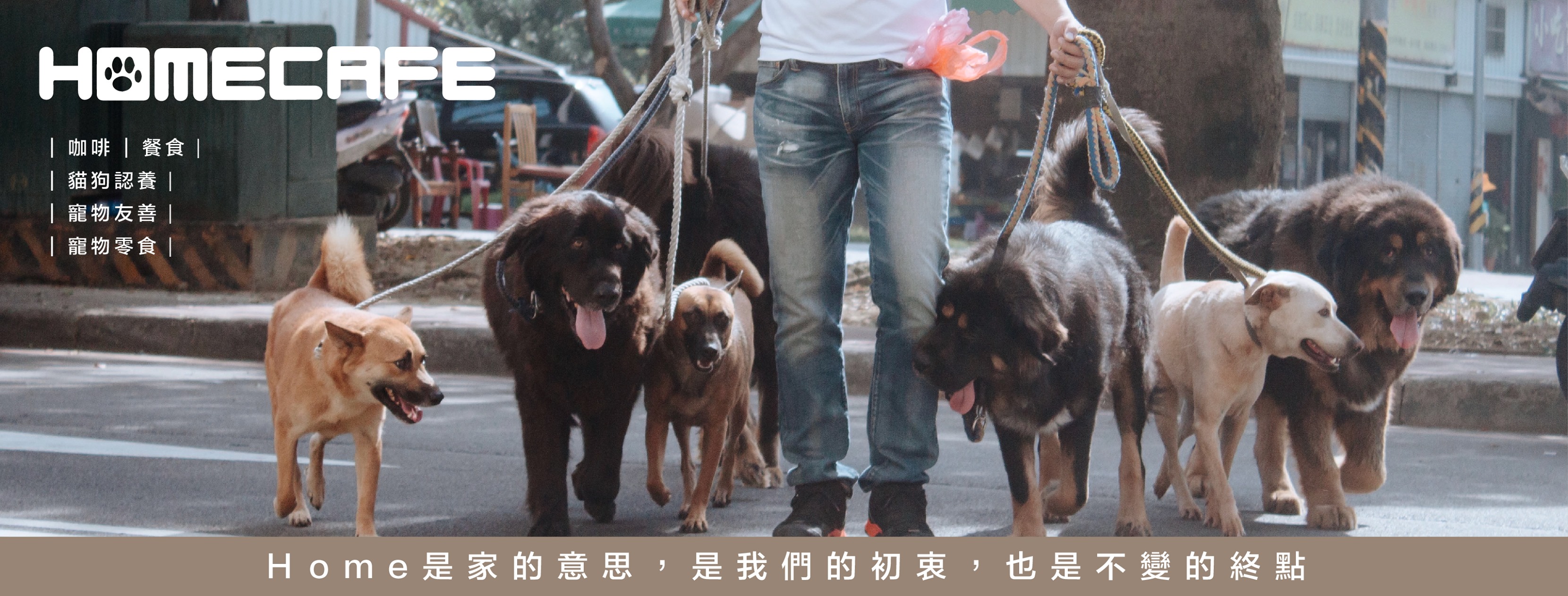 星星的鄰居 - 星星的鄰居 added a new photo — at 偷摸狗的家 tomoko dog...