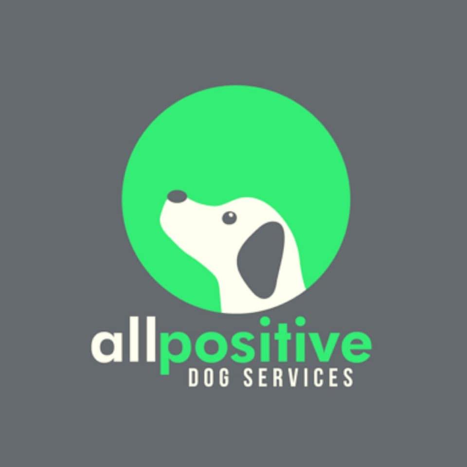All Positive Dog Services - Behaviour & Training Centre on Reels