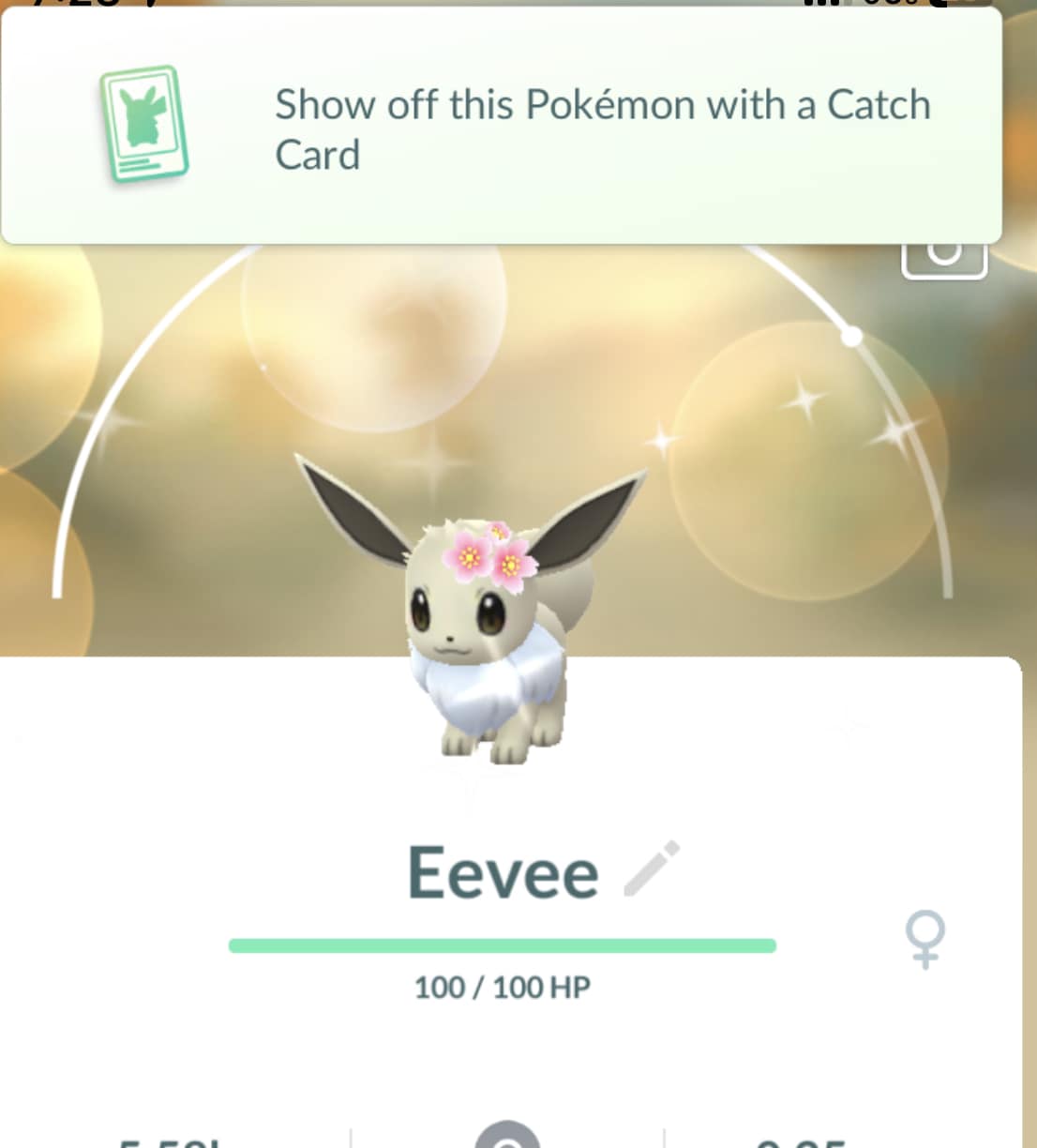 shiny eevee pokemon go card Radiant - Enamel Pin this card is the perfect way to showcase your collection. Eevee (Pokémon GO 054/071) (Japanese