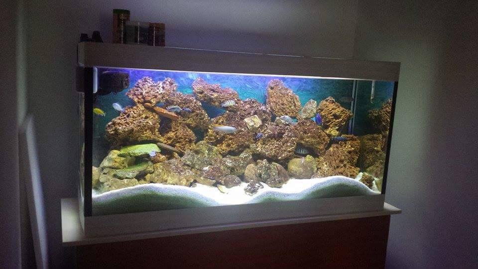 Acquario - Le meravigliose foto di Miki! Se anche voi... | Facebook