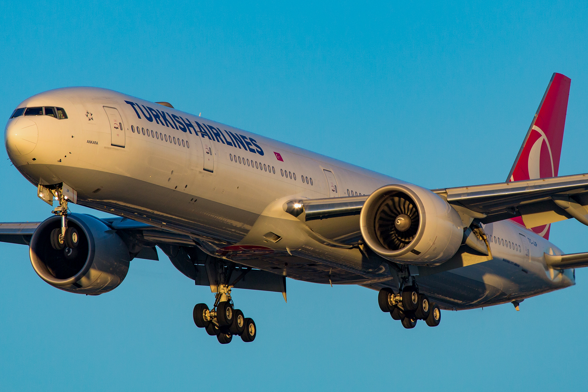 ターキーの飛行機 A Turkish Airlines Boeing 777-300ER climbs out of Runway 25R at