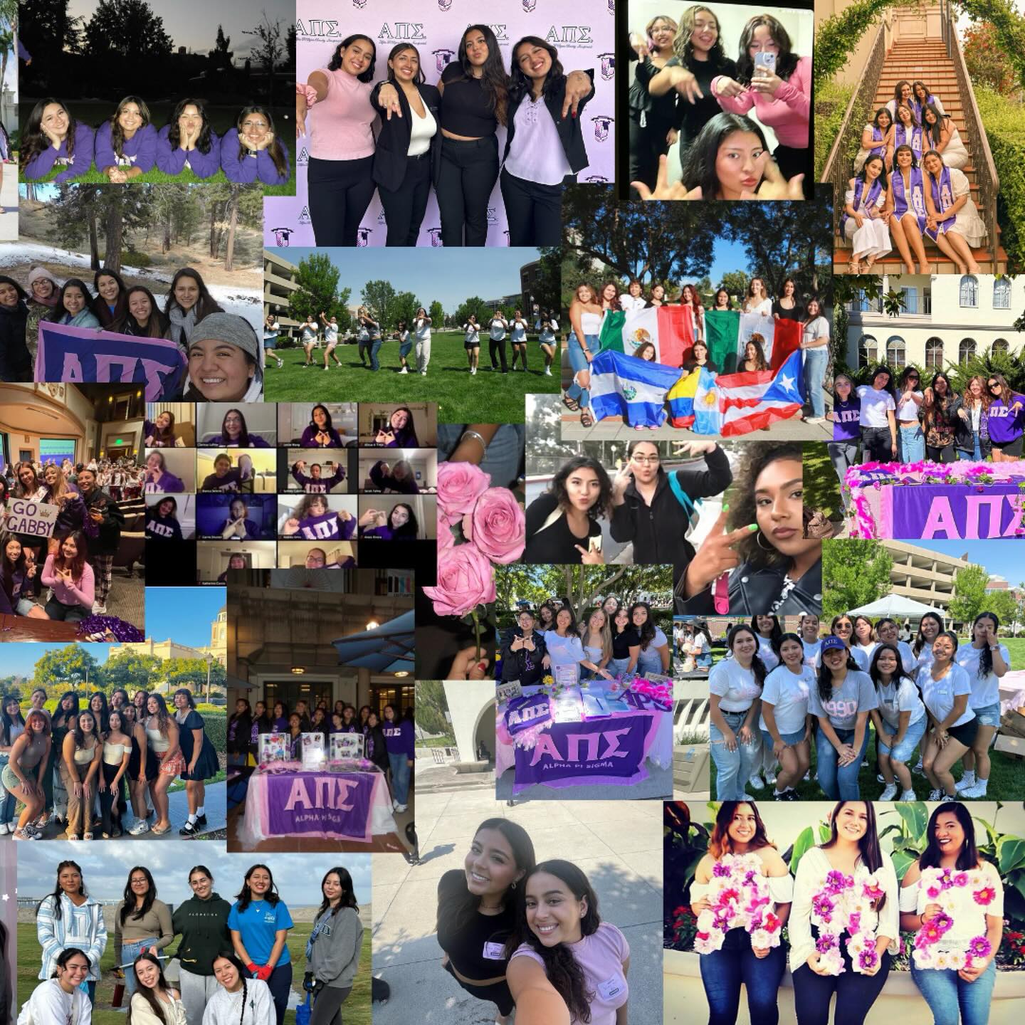 USD Alpha Pi Sigma - Rho Chapter