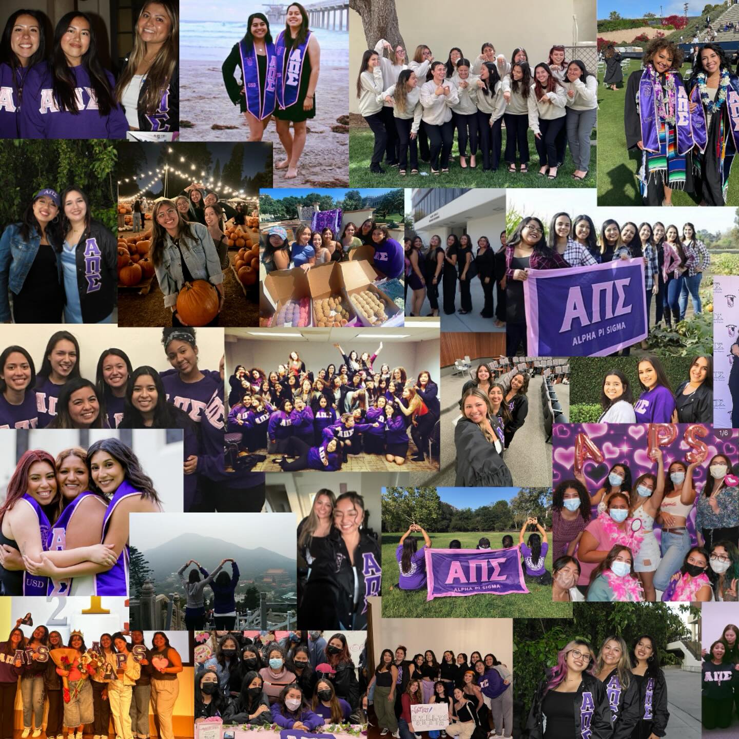 USD Alpha Pi Sigma - Rho Chapter