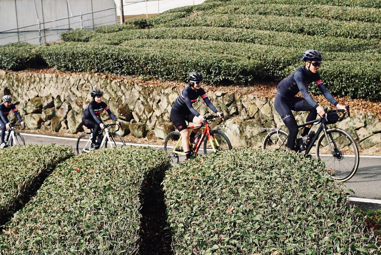 Rapha Taiwan - RCC Escape Alishan 即將啟程 〰️ 跟著我們的腳步，在... | Facebook