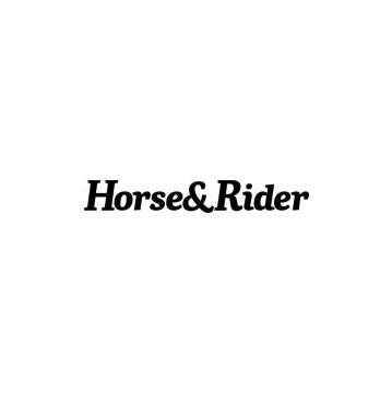 Difference in spins between the reining and ranch riding, according to ...