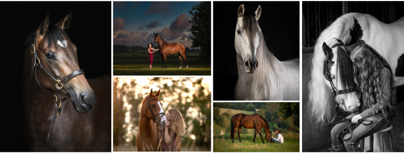 Tumpy Green... - Tumpy Green Equestrian & Competition Centre