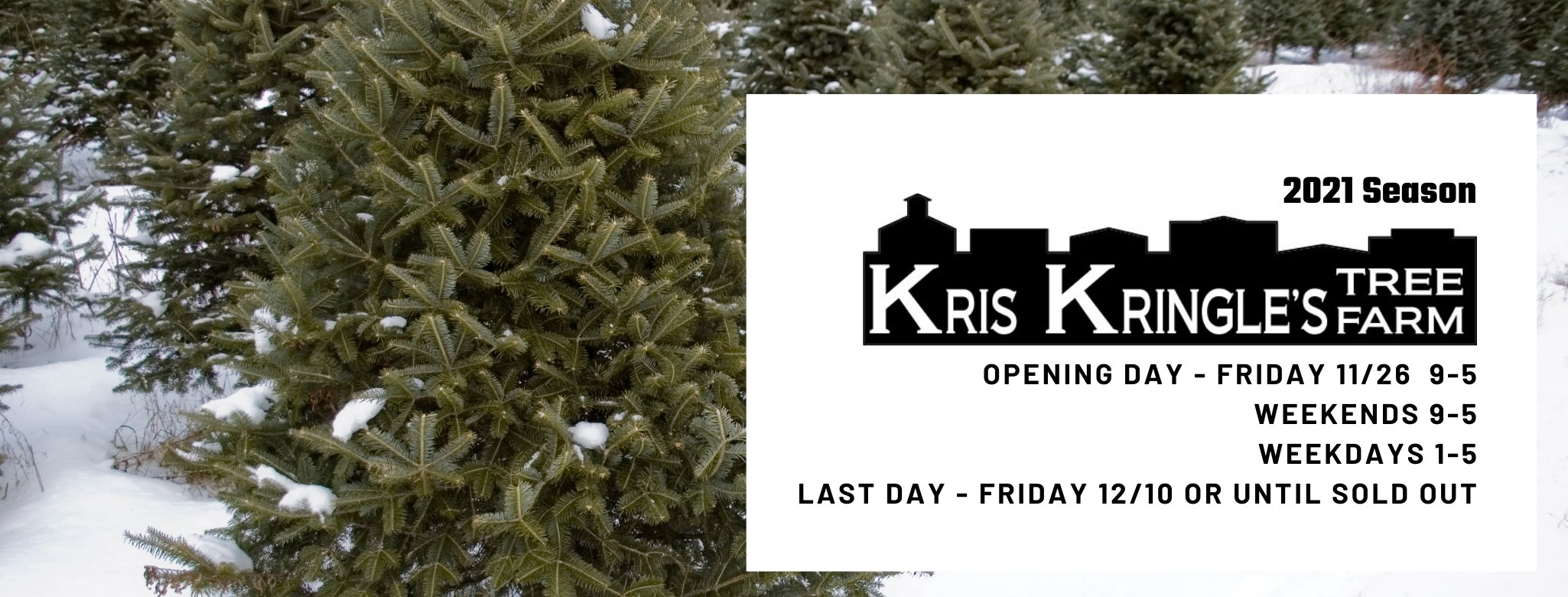 Kris Kringle's Tree Farm... - Kris Kringle's Tree Farm