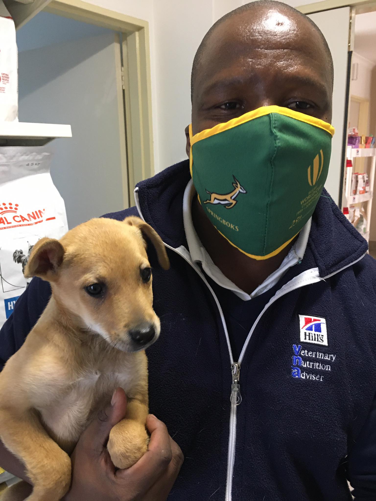 Vet-Clin - Today Lennox joined the Springboks and South...