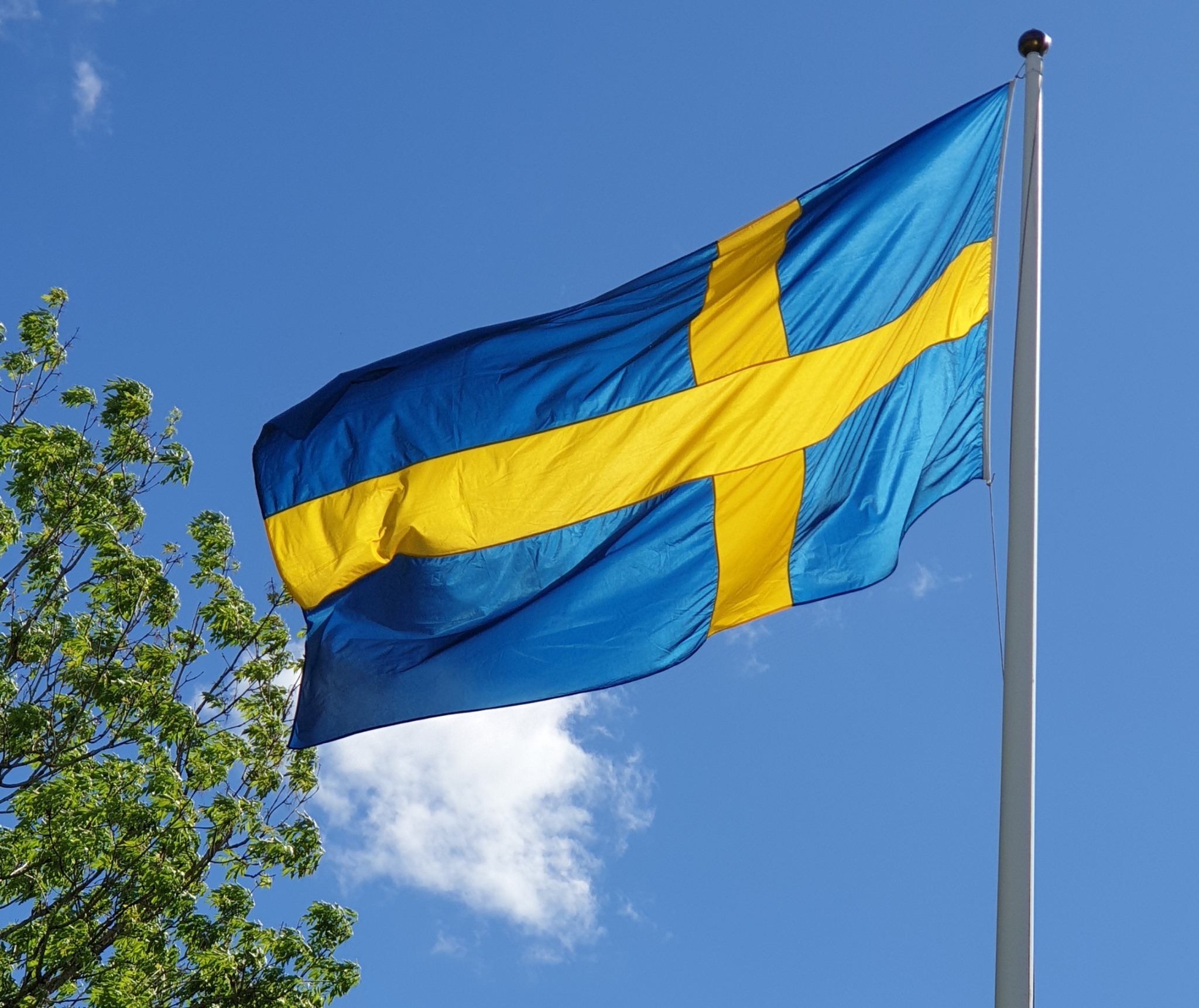 sverigedemokraterna-sverigedemokraterna-skinnskatteberg